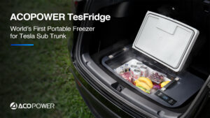 ACOPOWER TesFridge Portable Freezer